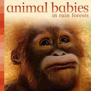 Cover of: Animal Babies in Rain Forests (Animal Babies)