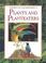 Cover of: Plants and Planteaters (Secrets of the Rain Forest)