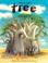 Cover of: This Is the Tree (Children's Books from Around the World--Africa)