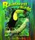 Cover of: Rainforest Birds (Birds Up Close)