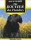 Cover of: The Bouvier des Flandres