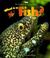 Cover of: What Is a Fish (Science of Living Things)