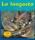 Cover of: LA Langosta/Lobsters (Animales Acorazados/Musty-Crusty Animals)