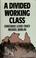 Cover of: A divided working class