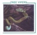 Cover of: Tree Vipers by Sherie Bargar, Linda Johnson
