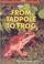 Cover of: From Tadpole to Frog