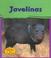 Cover of: Javelinas