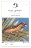 Cover of: Insects of Eastern Spruces Fir and Hemlock (Publication)