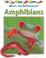Cover of: Amphibians (What's the Difference)