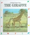 Cover of: The Giraffe (Animal Close-Ups)