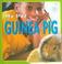 Cover of: Guinea Pig (My Pet)