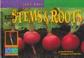 Cover of: Plant Stems & Roots (Look Once, Look Again)