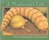 Cover of: A Mealworm’s Life