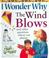 Cover of: I Wonder Why the Wind Blows