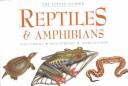 Cover of: Reptiles & Amphibians by Harold G. Cogger