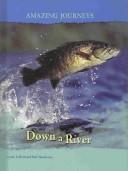 Cover of: Down a River (Amazing Journeys/2nd Edition) by Carole Telford, Rod Theodorou