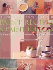Cover of: The Practical Encyclopedia of Paint Recipes, Paint Effects & Special Finishes: The Ultimate Source Book for Creating Beautiful, Easy-to-Achieve Interiors