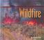 Cover of: Wildfire (Nature in Action)