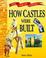 Cover of: How Castles Were Built (Age of Castles)