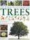 Cover of: The World Encyclopedia of Trees