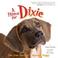 Cover of: A Home for Dixie