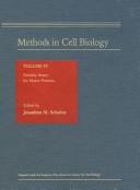 Motility Assays For Motor Proteins (Methods in Cell Biology (Cloth)) by JOHNATHAN SCHOLEY
