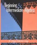 Cover of: Beginning and Intermediate Algebra Lab Workbook