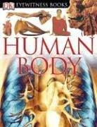 Cover of: Human Body by DK Publishing