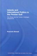 Islands and International Politics in the Persian Gulf (Durham Modern Middle East and Islamic World) by Kourosh Ahmadi