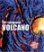 Cover of: Volcano