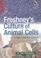 Cover of: Culture of Animal Cells