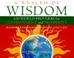 Cover of: A pocketful of wisdom