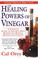Cover of: The Healing Powers of Vinegar