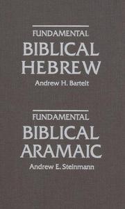 Cover of: Fundamental Biblical Hebrew by Andrew H. Bartelt