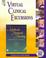 Cover of: Virtual Clinical Excursions for Sixth Edition Medical-Surgical Nursing