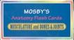 Cover of: Mosby's Anatomy Flash Cards