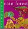 Cover of: Rain Forest (Worldwise)