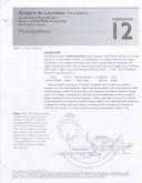 Cover of: Photosynthesis: Separate from Biology in the Laboratory 3e