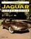 Cover of: Illustrated Jaguar buyer's guide