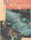 Cover of: Returning Wildlife - American Alligators (Returning Wildlife) by John Becker