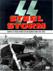 Cover of: SS Steel Storm : Waffen-SS Panzer Battles on the Eastern Front 1943-1945
