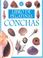 Cover of: Libro De Pegatinas Conchas/Shells Sticker Book