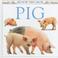 Cover of: Pig (See How They Grow)