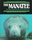 Cover of: Manatee (Endangered in America)