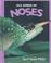 Cover of: All Kinds of Noses (All Kinds Ofà)