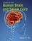 Cover of: Atlas of the Human Brain and Spinal Cord