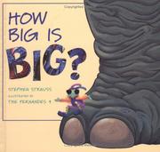Cover of: How big is big?