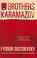 Cover of: Brothers Karamazov
