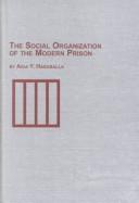 The Social Organization of the Modern Prison (Criminology Studies, V. 14) by Aida Y. Hasaballa