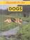 Cover of: Dogs (Responsible Pet Care)